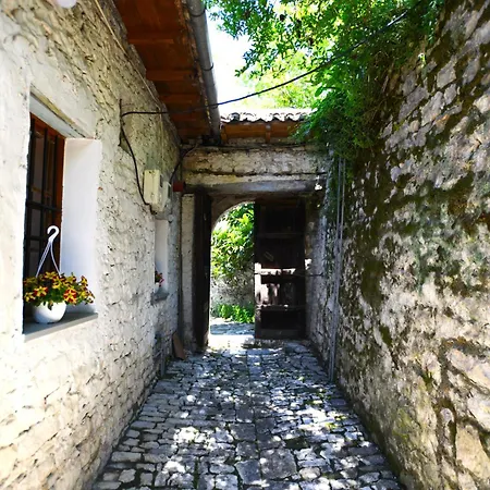 Appartement Droboniku